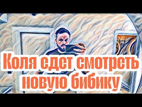 Видео: Самвел и Оля Адамян м@разм крепчает🤦🏻‍♀Коля знает,что было через постель.Самвел наорал на Колю.