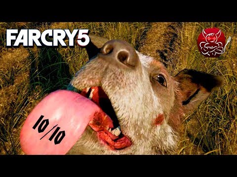 Видео: Far Cry 5 - ВЕДЬМАК ОТ МИРА UBISOFT [Обзор]