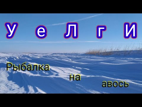Видео: ✌УеЛгИ✌Рыба нашла меня сама!!! А так можно было? 🤔 + обзор подводной камеры.