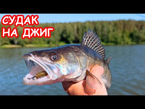 Видео: ЛЁГКИЙ ДЖИГ. ПРИМАНКИ НА СУДАКА. РЫБАЛКА НА СПИННИНГ