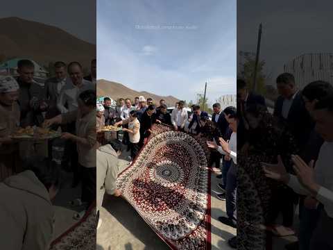 Видео: Куйоо балага 5 метр килем салышты