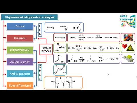 Видео: НІТРОГЕНВМІСНІ органічні сполуки: загальний огляд. ХІМІЯ 10 клас