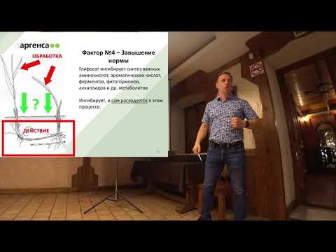 Видео: Эффективность глифосатных обработок. 7 главных факторов. Как экономить 50% бюджета при росте цен?