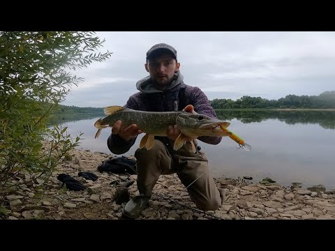 Видео: Рыбалка на ЩУКУ  и СУДАКА на ОКЕ!