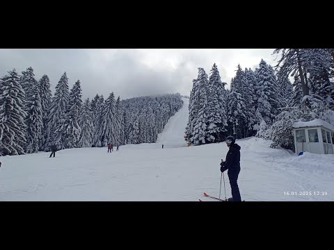 Видео: Зимние каникулы в Банско Болгария Январь 2025 Winter holidays in Bansko Bulgaria January 2025