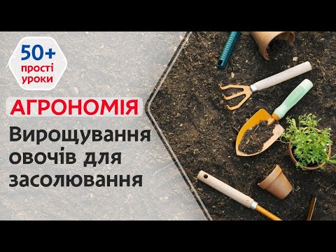 Видео: Як виростити ідеальні овочі для засолювання