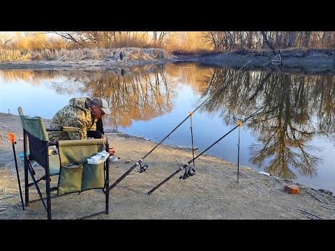 Видео: ШАЛЕНИЙ КЛЬОВ КРУПНОГО КАРАСЯ У ЗАВАЛАХ КОРЧІВ.Рибалка на фідер