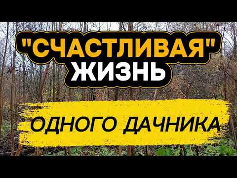 Видео: Заброшка на краю поля в зарослях 😲