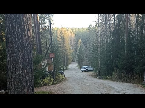 Видео: ♡Оливия♡ в прямом эфире!