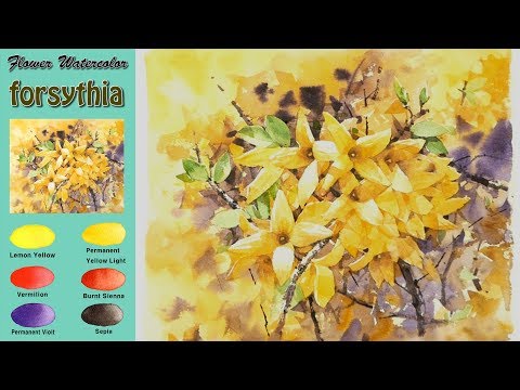 Видео: цветок Пейзажная акварель - Forsythia (wet-in-wet, Arches rough)NAMIL ART