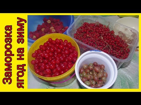 Видео: Заморозка ягод на зиму. Как заморозить ягоды.
