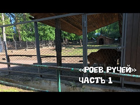 Видео: РОЕВ РУЧЕЙ  ЧАСТЬ 1. КРАСНОЯРСК. ЛЕТО 2025