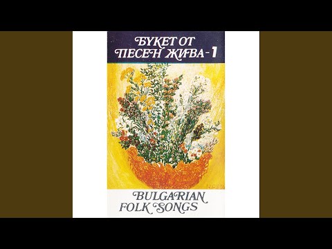 Видео: Калиманку Денку де