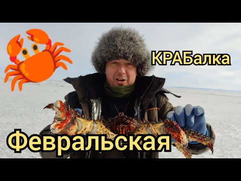 Видео: Вот она, настоящая февральская КРАБалка на хапуги!!!