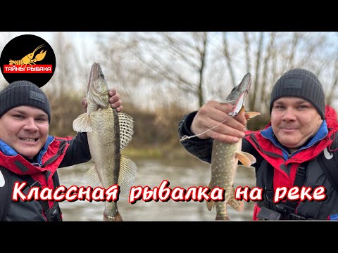 Видео: Рыбалка на реке Пехорка спиннингом в ноябре.