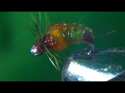 Видео: НИМФА на ХАРИУСА (Сопливый СВЕТОФОР )