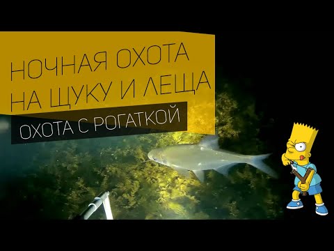 Видео: Ночная рыбалка с рогаткой на Щуку и Леща с лодки #24