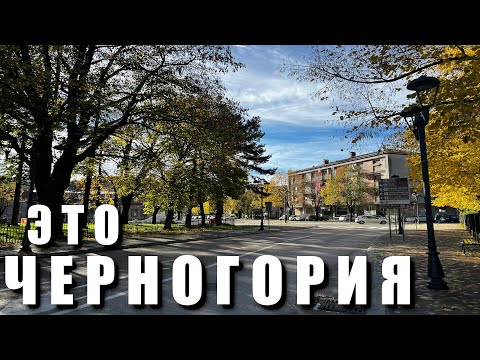 Видео: Стоит ли жить в Цетине город в Черногории? Красивая осень в Черногории, листопад и каменные улицы.