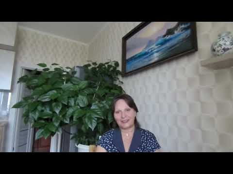 Видео: Маленький да удаленький