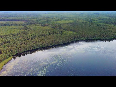 Видео: Мотопутешествие на озеро Западное в Заозёрье 2 часть