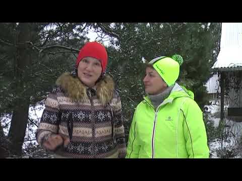 Видео: Как зимуют растения у нас на плантации Часть 2