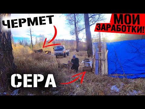 Видео: ЭТО ВСЁ ИЗ ЗА ДЕНЕГ! ВТРОЙ ДЕНЬ ВЫЖИВАЮ В ЛЕСУ В САМОДЕЛЬНОЙ ИЗБЕ! ТОПЛЮ СЕРУ  ДОБЫВАЮ ЧЕРМЕТ!