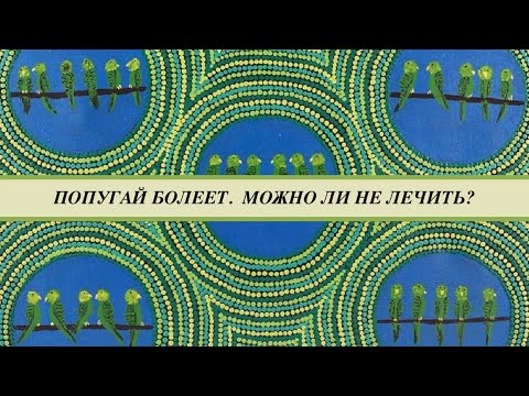 Видео: Попугайчик чихает, тяжело дышит, лежит на присаде. Что будет если не лечить попугая?