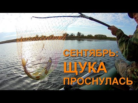 Видео: Сентябрь: Щука проснулась. Рыбалка в Актобе, Казахстан