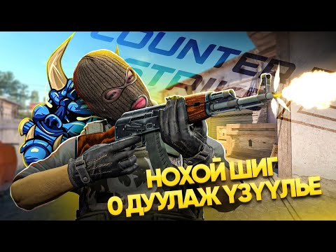 Видео: НОХОЙ ШИГ 0 ДУУЛЖ ҮЗҮҮЛЭЕ