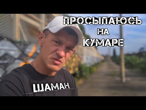 Видео: Шаман. Просыпаюсь на Кумаре!