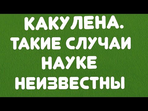 Видео: Какулена// Такие случаи науке неизвестны//Обзор видео//
