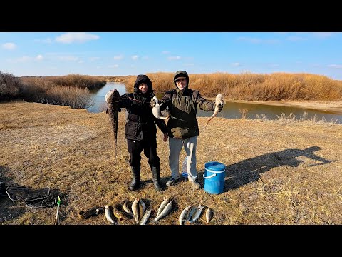 Видео: Трофейный Налим на реке Нура — Ночная рыбалка в Октябре