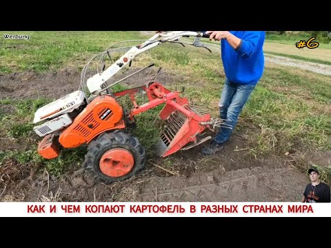 Видео: КАК И ЧЕМ КОПАЮТ КАРТОФЕЛЬ В РАЗНЫХ СТРАНАХ,ПОДБОРКА #6 /HARVESTING POTATOES IN DIFFERENT COUNTRIES