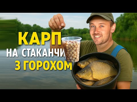 Видео: 🐟 ЛОВЛЯ КОРОПА ПОВНЕ ВІДРО НА ГОРОХ