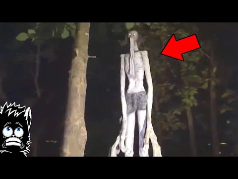 Видео: МОНСТР ДРЫЩ и ДРУГАЯ ХРЕНОМУТЬ СНЯТАЯ НА КАМЕРУ [Черный кот]