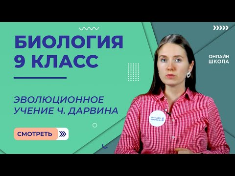 Видео: Эволюционное учение Ч. Дарвина. Движущие силы эволюции. Урок 27. Биология 9 класс