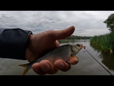 Видео: Раннее Утро. Мормышинг. Рыбалка 2023. JS Company Bixod N Stream S451 XXUL