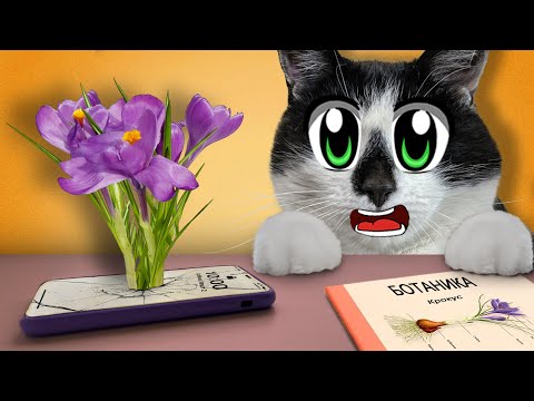 Видео: Вернулись в ШКОЛУ на Один День Челлендж ! 24 Часа в ШКОЛЕ КОТОВ: УРОК БОТАНИКИ