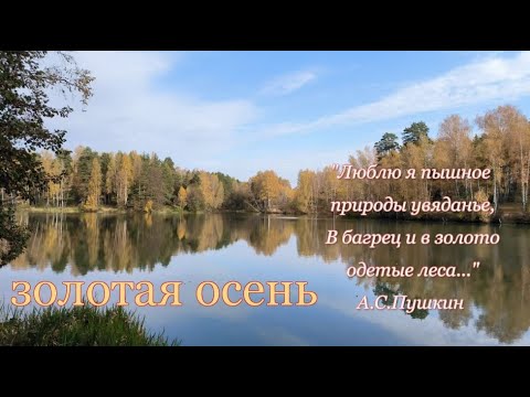 Видео: Золотая Осень в парке Харинка