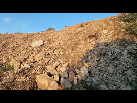 Видео: Будущее 