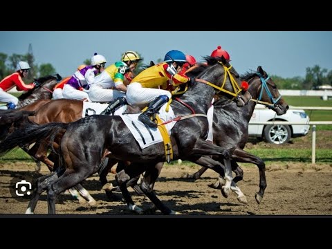 Видео: Ат чабыш. Суусамыр!💥💥💥