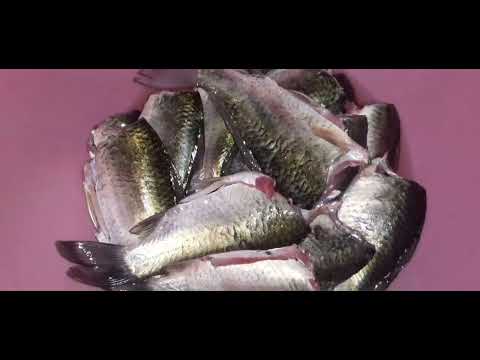 Видео: Uy sharoitida kilka pishirish(килки по домашнему)