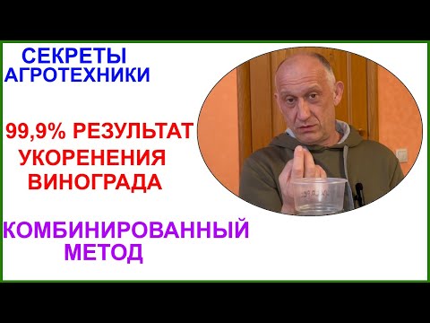 Видео: Комбинированный метод укоренения черенков винограда.  99,9% результат.