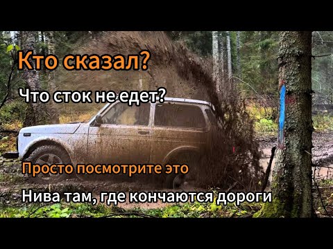Видео: Кто сказал, что сток не едет? Просто посмотрите это