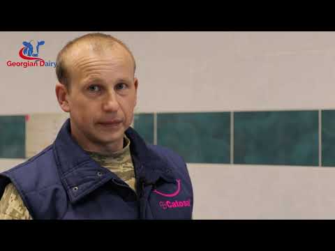 Видео: Практическое видео по искусственному осеменению