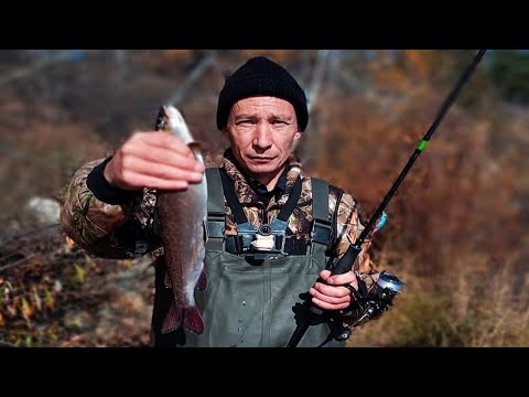 Видео: Рыбалка на ленка в октябре на спиннинг ловля ленка осенью