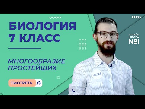 Видео: Многообразие простейших. Урок 4. Биология 7 класс