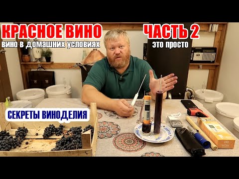 Видео: Красное ВИНО в домашних условиях / Часть 2 / Мерло + Каберне / Квартирное ВИНО из Винограда /