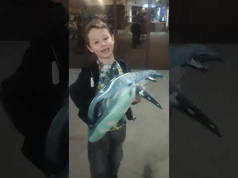 Видео: На канале Амир, обзор океанариума в городе Самара, ноябрь 2025.