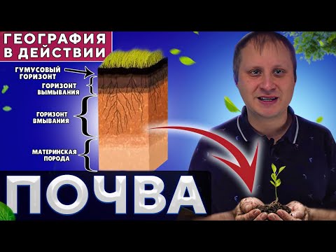 Видео: Почва  География в действии!